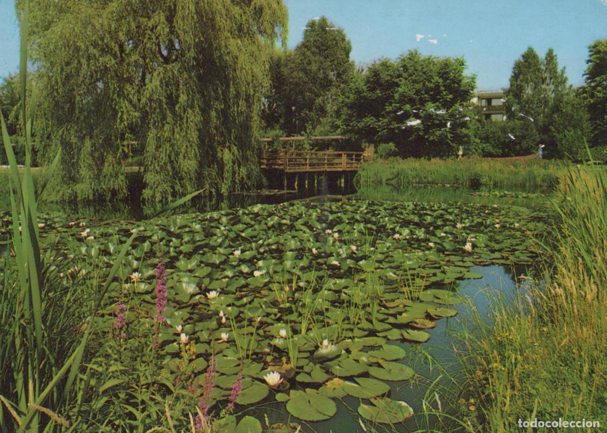 Cartes Postales: Germany Bad Bevensen Lake With Water Lilies and Wooden Bridge *YBA972