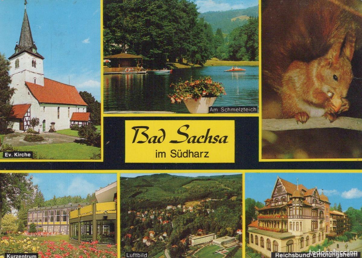 Cartes Postales: Germany Bad Sachsa IM S&uuml;dharz Multi View Church Lake Squirrel Kurzentrum *YBA996