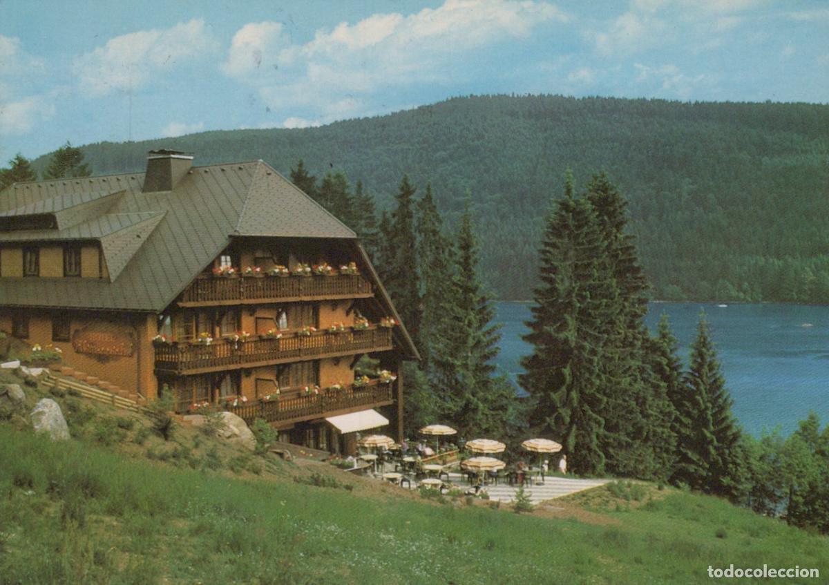 Postales: Germany Titisee Neustadt Titisee Hotel Restaurant Cafe Alemannenhof Lake *YBA699