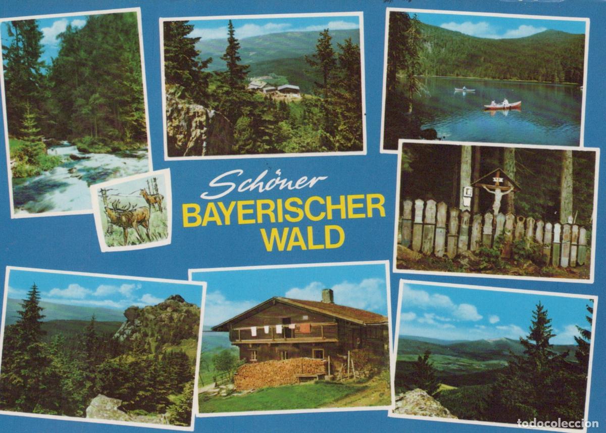 Cartes Postales: Germany Deggendorf Sch&ouml;ner Bayerischer Wald Bavarian Forest Multi View *YBA921