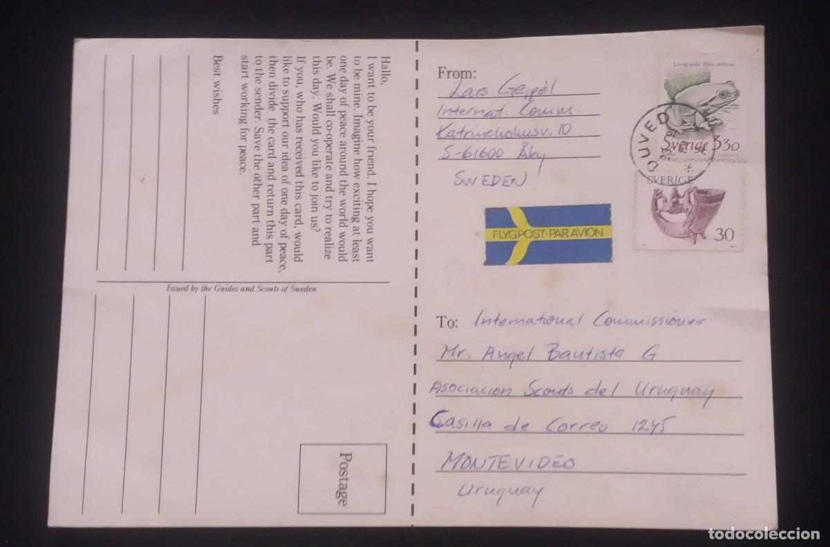 Postales: TS) 1990 SWEDEN, POSTCARD, AIRMAIL,WITH THE FAUNA OF THREATENED HABITATS AND A DRINKING HORN,VF.