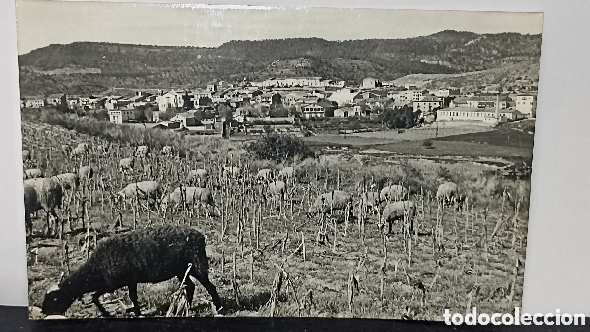 Postales: Paisaje rural sur de Francia avignon