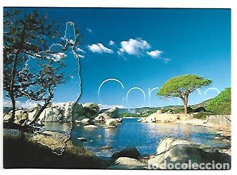 Postales: LA PLAGE DE PALOMBAGGIA.- PORTO-VECCHIO.- CORSE