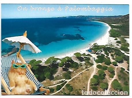 Postales: LA PLAGE DE PALOMBAGGIA.- PORTO-VECCHIO.- CORSE