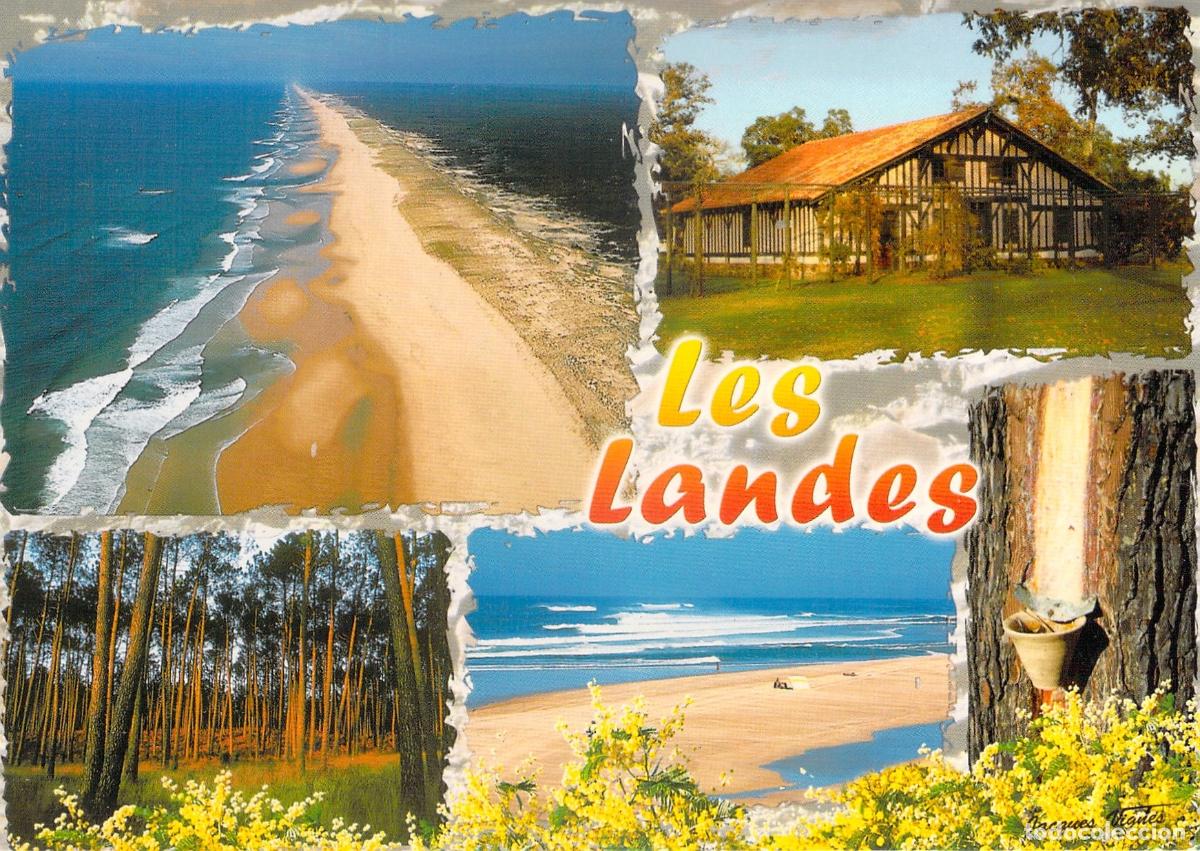 Postales: Postal de las Landas: Costa, Bosques y Paisajes Franceses