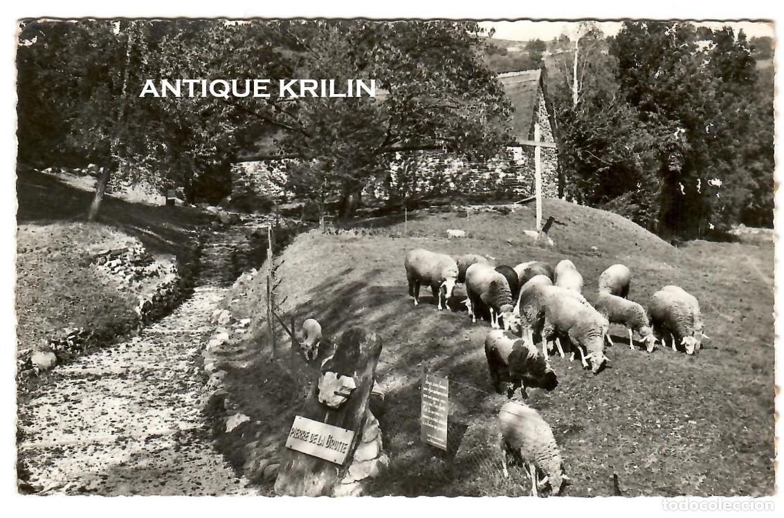 Postales: LOURDES N&ordm; 216 CIT&Eacute;-SECOURS SANT PIERRE , LE CHEMIN DE LA CHAPELE SAINTE BERNADETTE