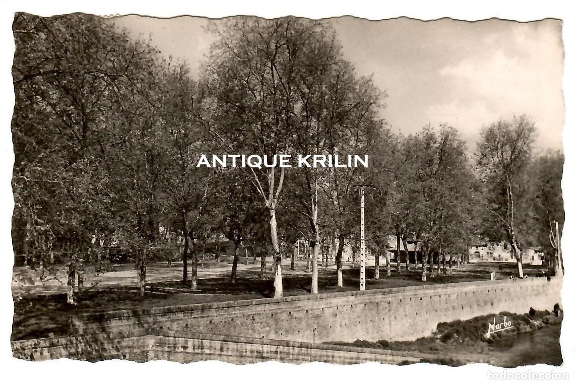 Postales: HAUTE-GARONE / AUTERIVE N&ordm; 4 LE FOIRAIL / EDITION S.N.E. NARBO / FRANQUEADA