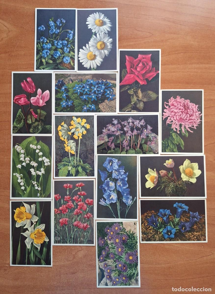 Postcards: LOTE 20 POSTALES SUIZAS : FLORES REBOSANTES DE VIGOR, LUZ Y COLOR