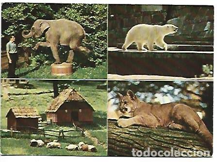 Postales: ZOOLOGISCHER GARTEN.- WUPPERTAL / ALEMANIA