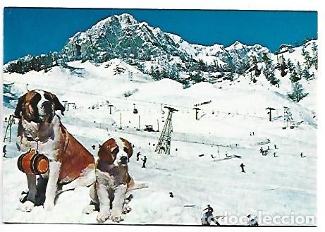 Postales: SKI GROUNDS - &rdquo; CABLEWAYS VAL VENY &rdquo;.- COURMAYEUR - PLAN CHECROUIT / ITALIA