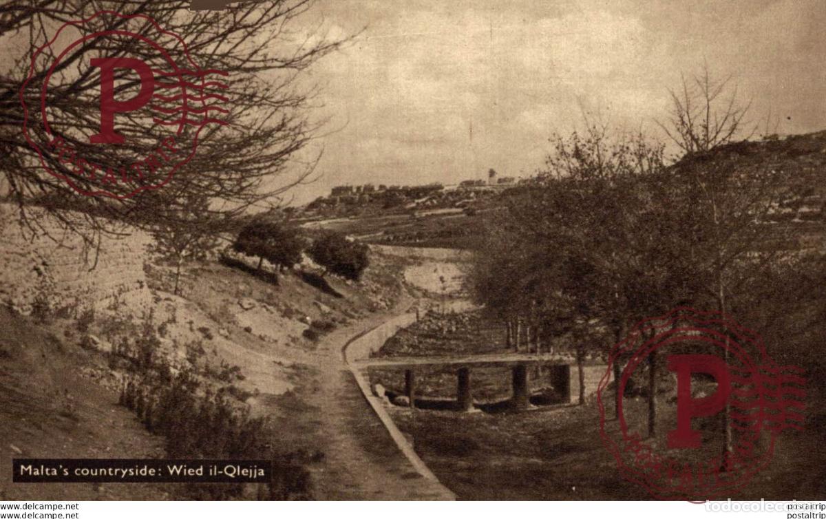 Postales: MALTAS COUNTRYSIDE: WIED IL-QLEJJA. MALTA.