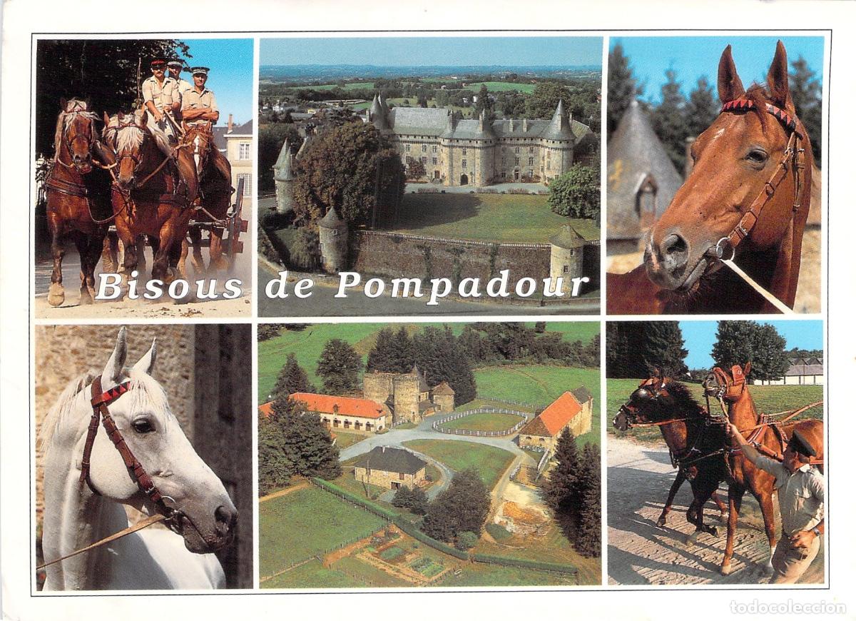 Postales: Postal de Pompadour con Castillo y Caballos de Francia