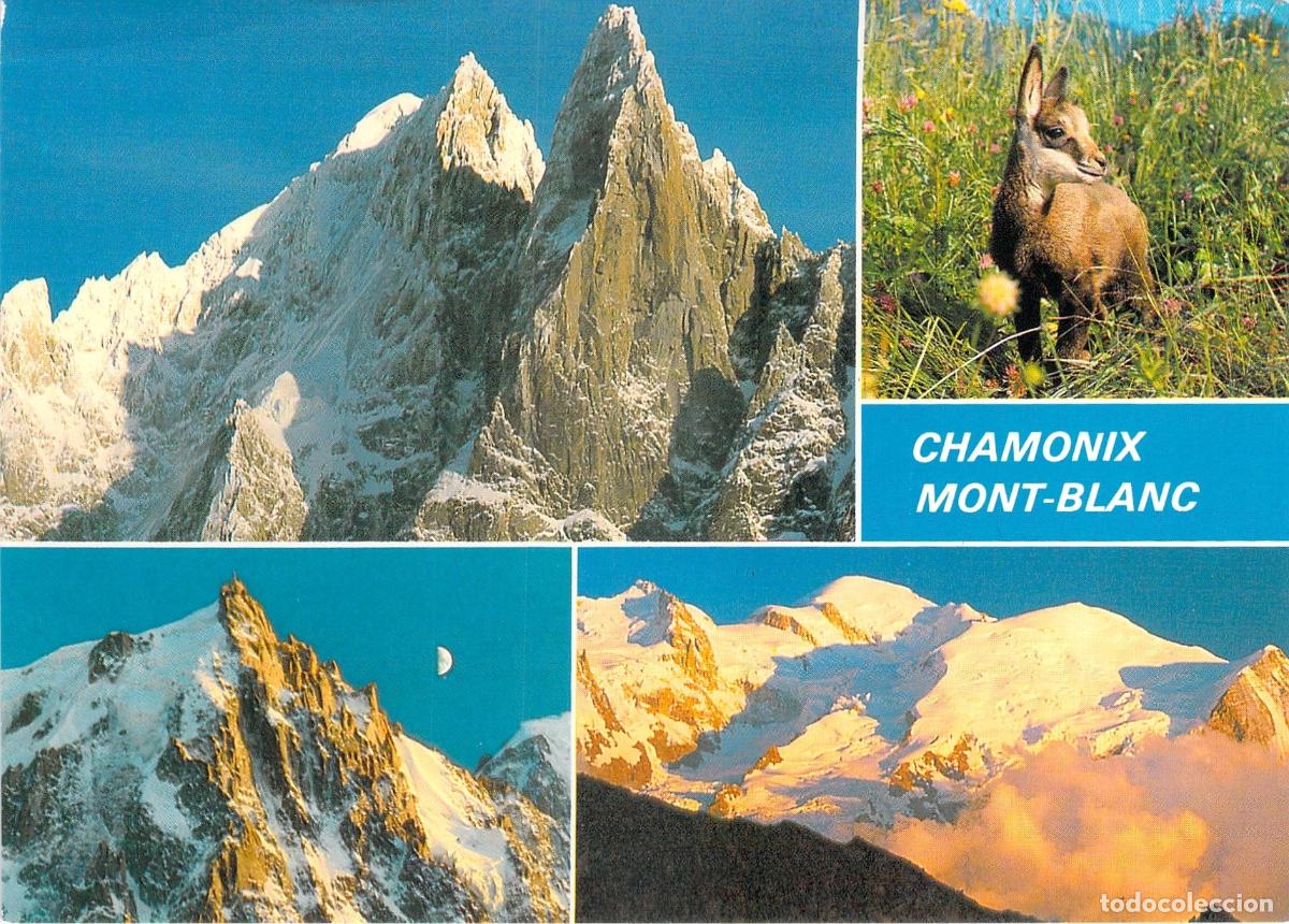 Postales: Postal de Chamonix Mont Blanc con monta&ntilde;as y un rebeco