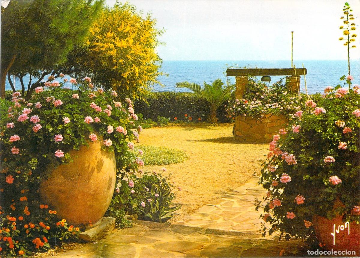 Postales: Postal de un jard&iacute;n florido en la Costa Azul, Francia