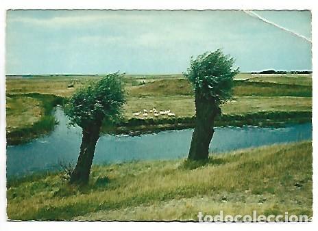 Postales: SKANE.- SUECIA...... - Foto 1