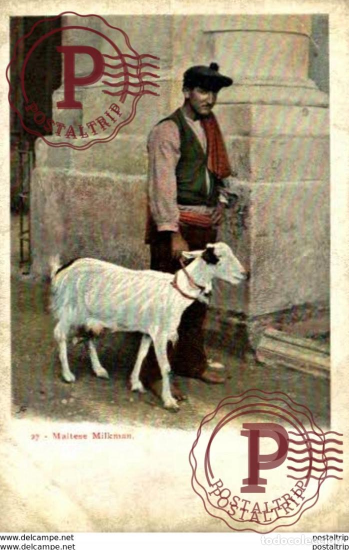 Postales: MALTESE MILKMAN MALTA - Foto 1
