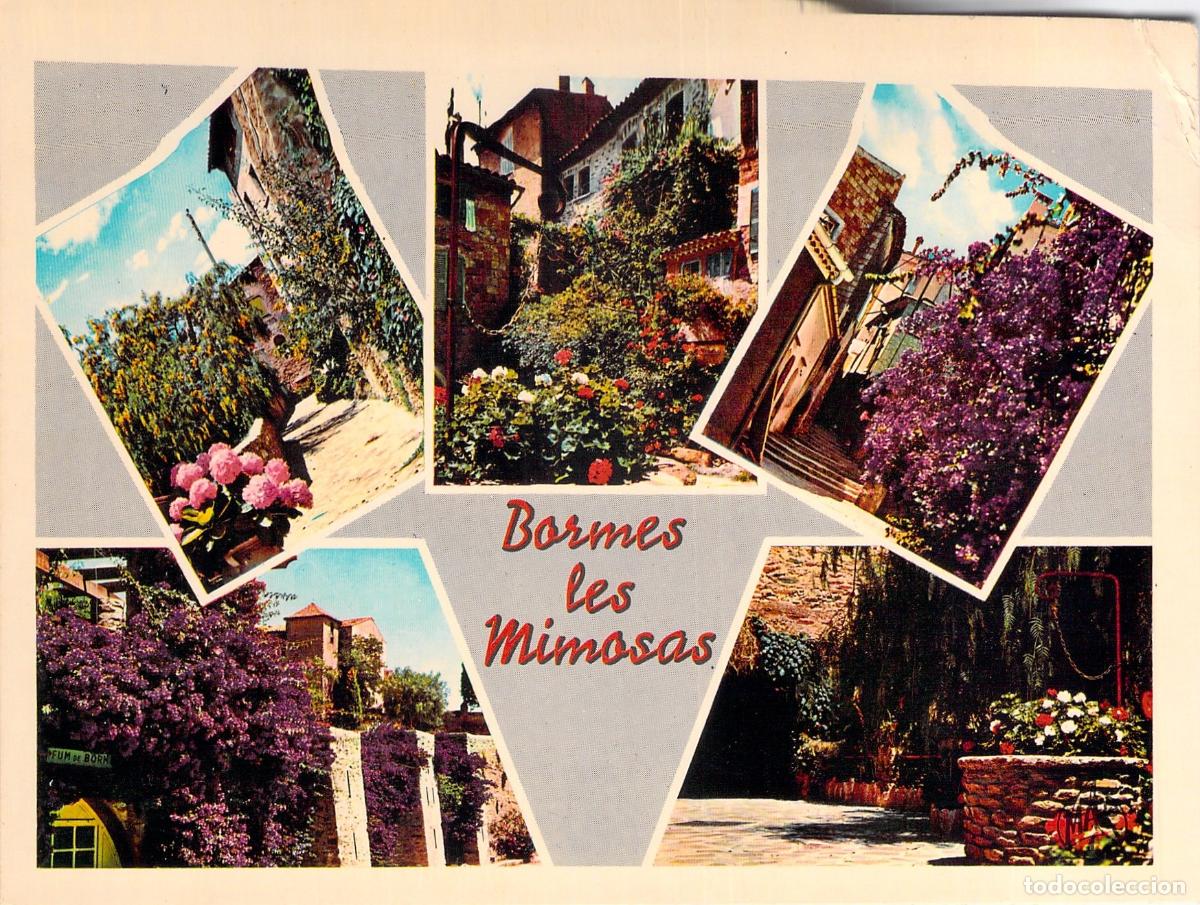 Postales: Postal de Bormes-les-Mimosas con Vistas Pintorescas de la Costa Azul
