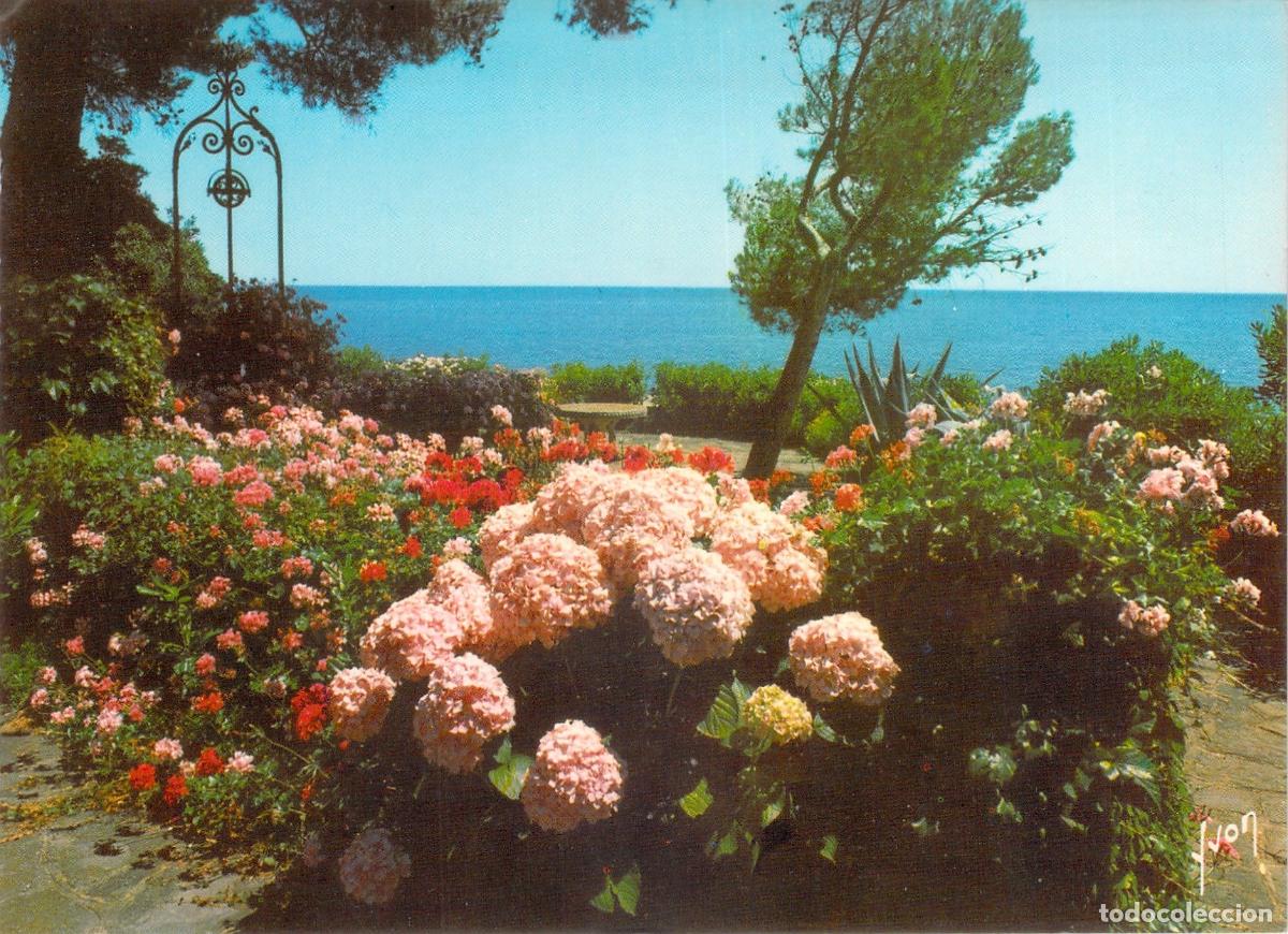 Postales: Postal de la Costa Azul con jard&iacute;n florecido frente al mar