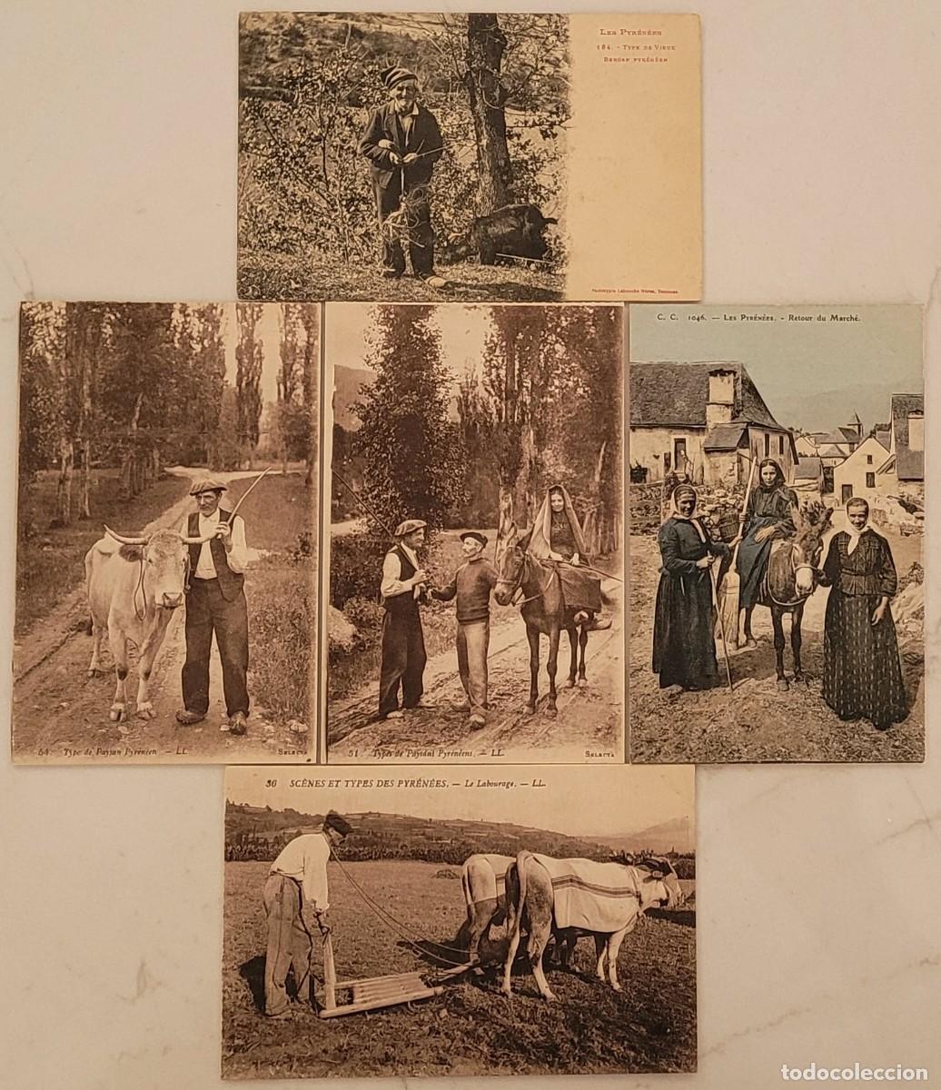Postais: Lote 5 Postales Antiguas Tipos Pirineos Franceses: Etnograf&iacute;a, Pastores, Boinas, Bueyes y Asnos.