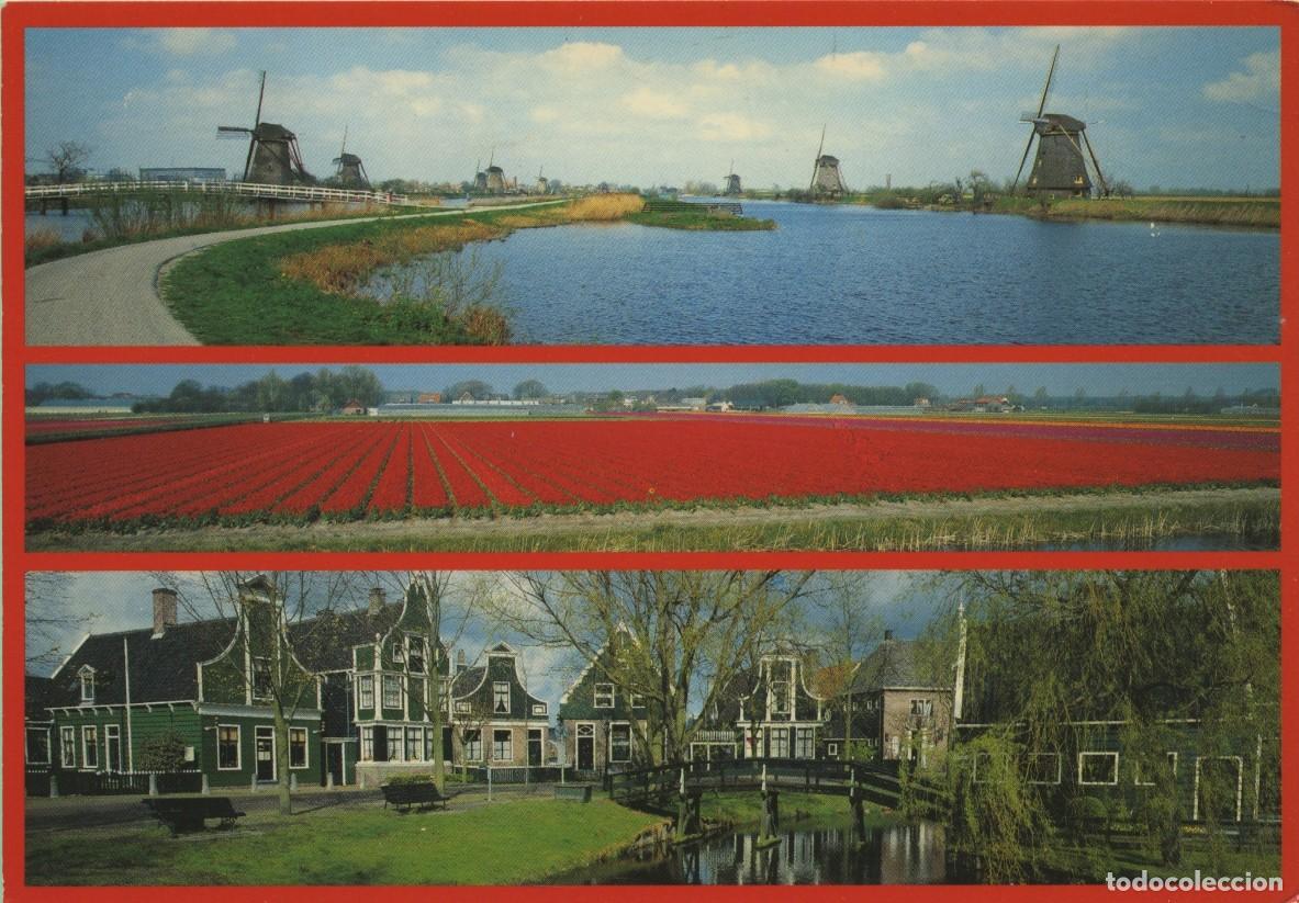 Postales: N&ordm; 2510-Holanda. Diversos aspectos. Sin circular. ED. HAMAR