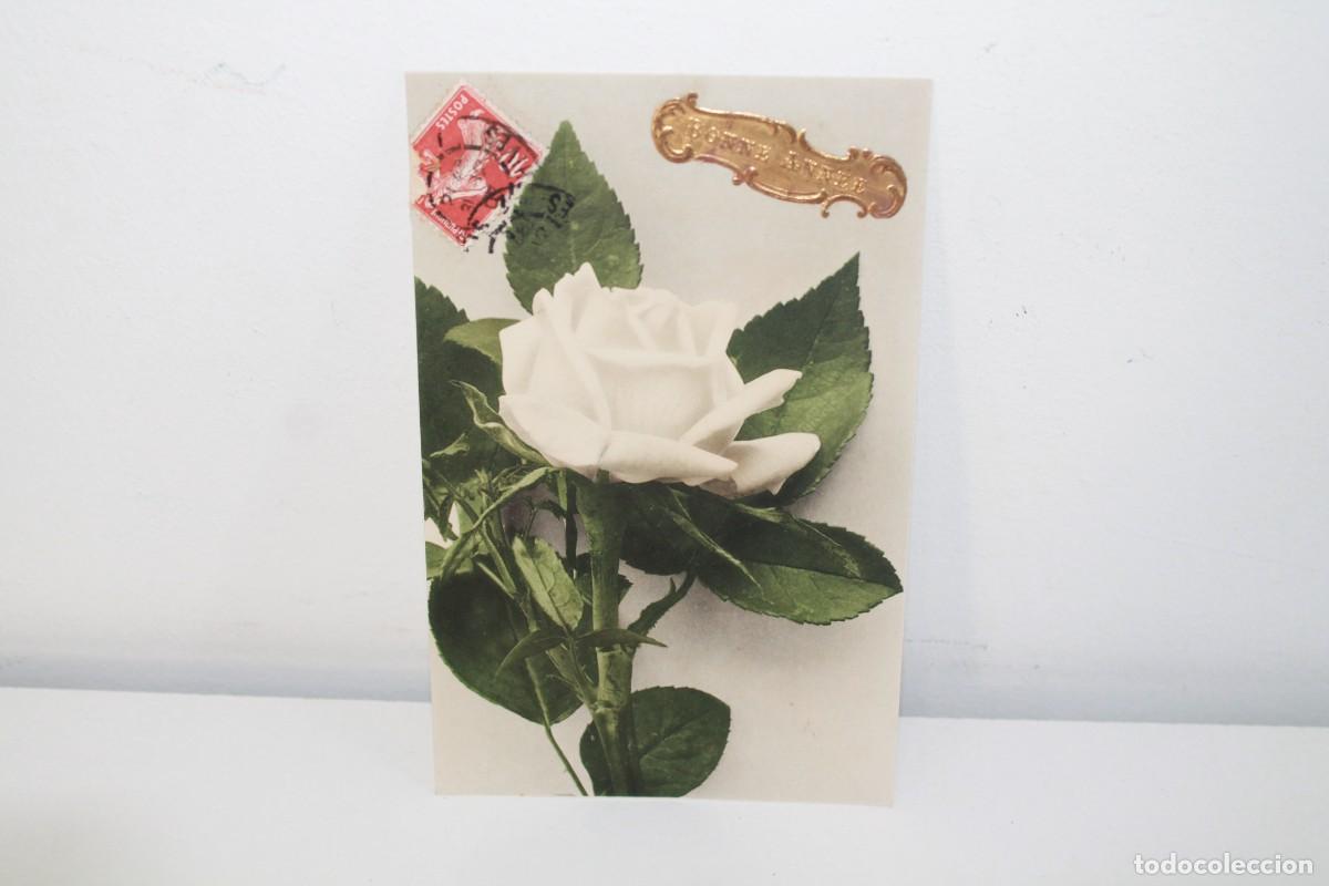 Postais: POSTAL A&Ntilde;O NUEVO 1907 ROSA BLANCA RELIEVE DORADO CIRCULADA ROMMEL STUTTGART