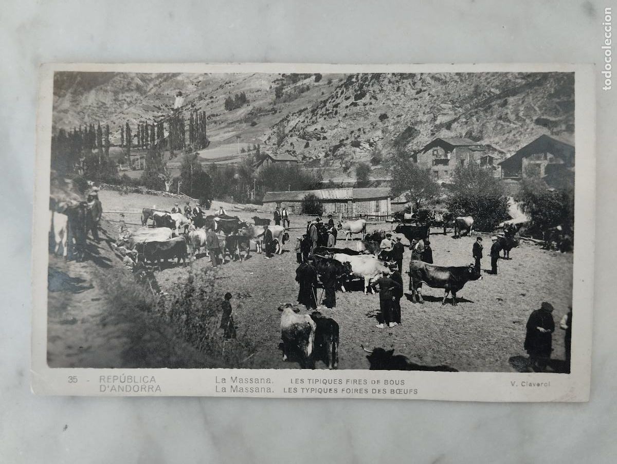 Postales: POSTAL FOTOGRAFICA REPUBLICA ANDORRA LA MASSANA LES TIPIQUES FIRES DE BOUS