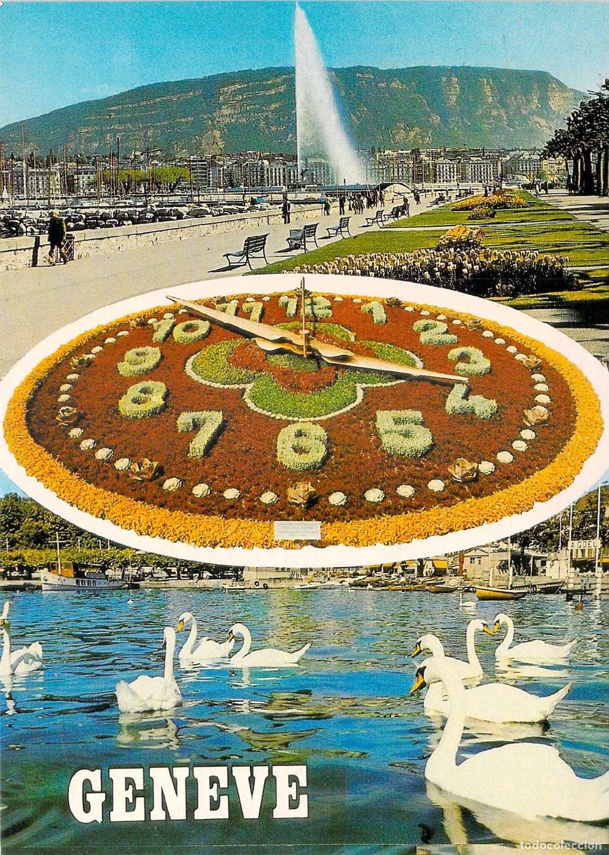 Postales: Postal de Ginebra con Reloj de Flores y Cisnes en el Lago Leman