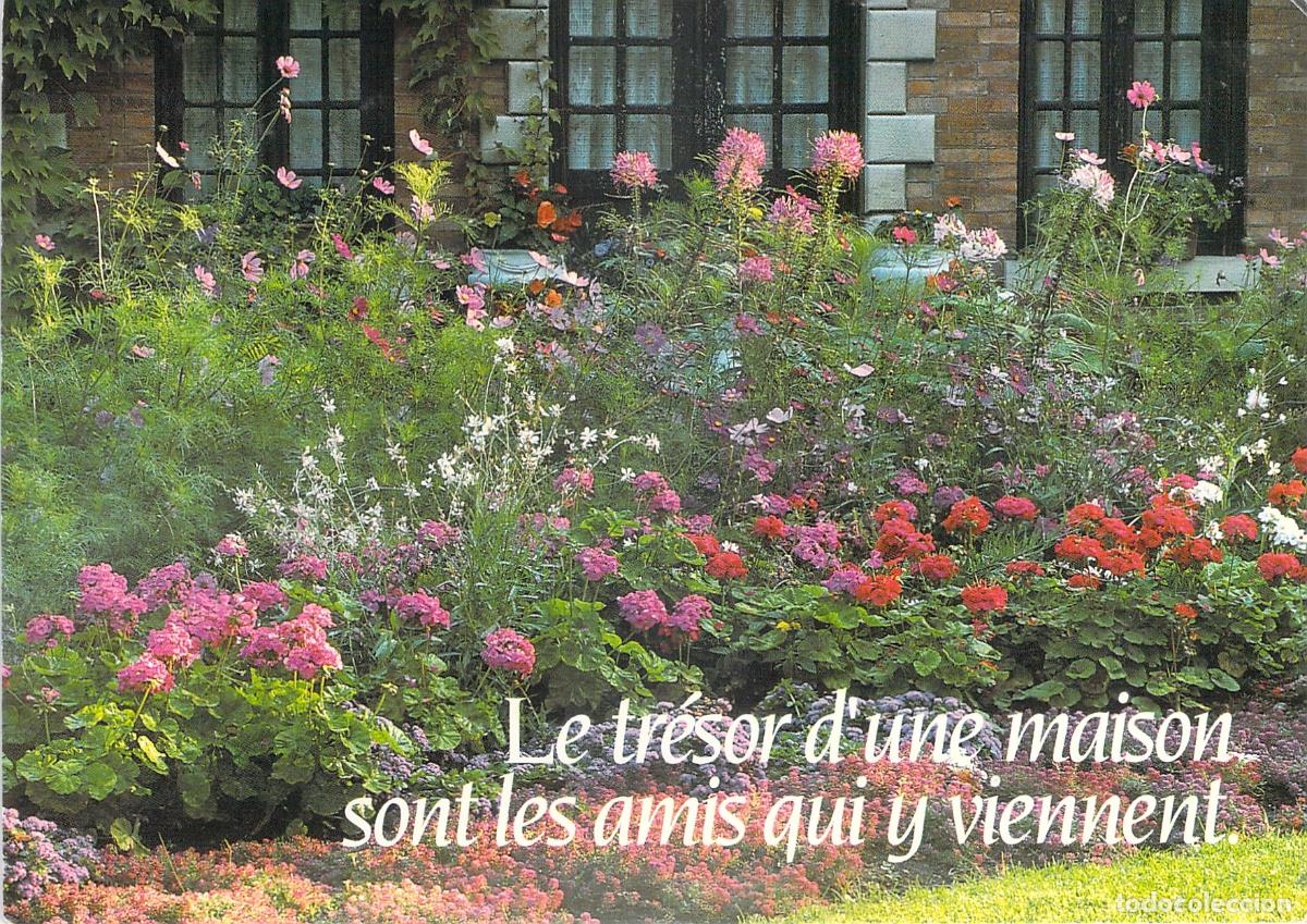 Postales: Postal con dise&ntilde;o de casas y jardines florecidos