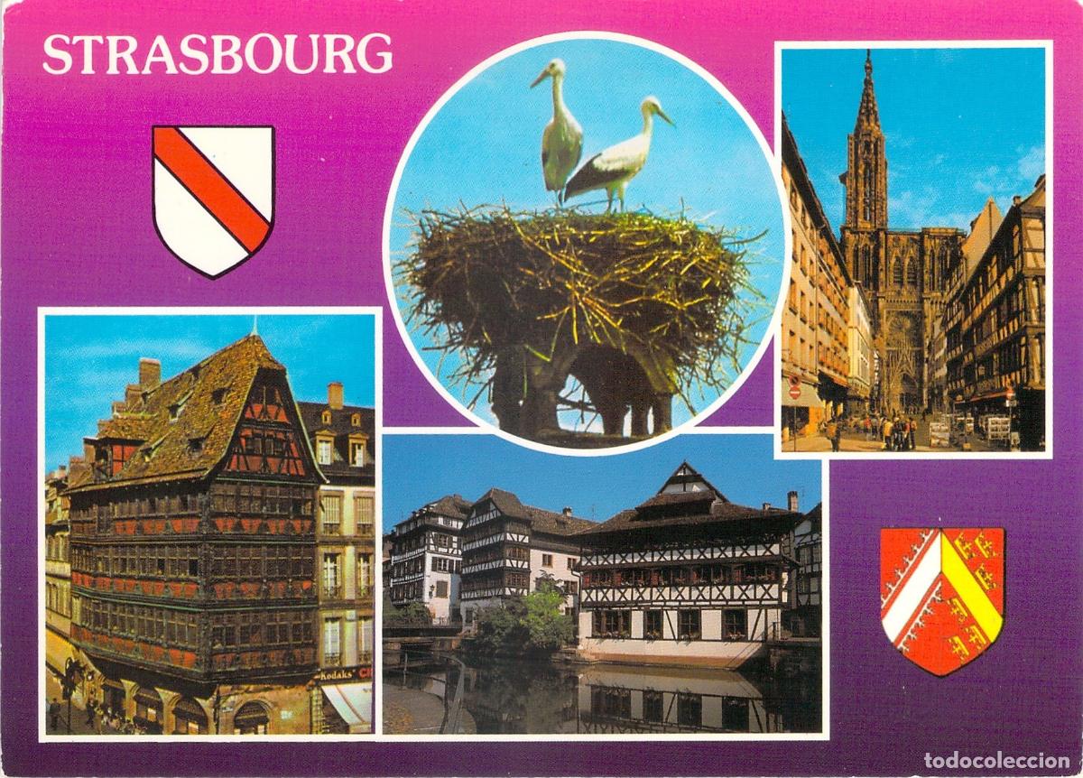 Postales: Postal de Estrasburgo con vistas de la ciudad y cig&uuml;e&ntilde;as
