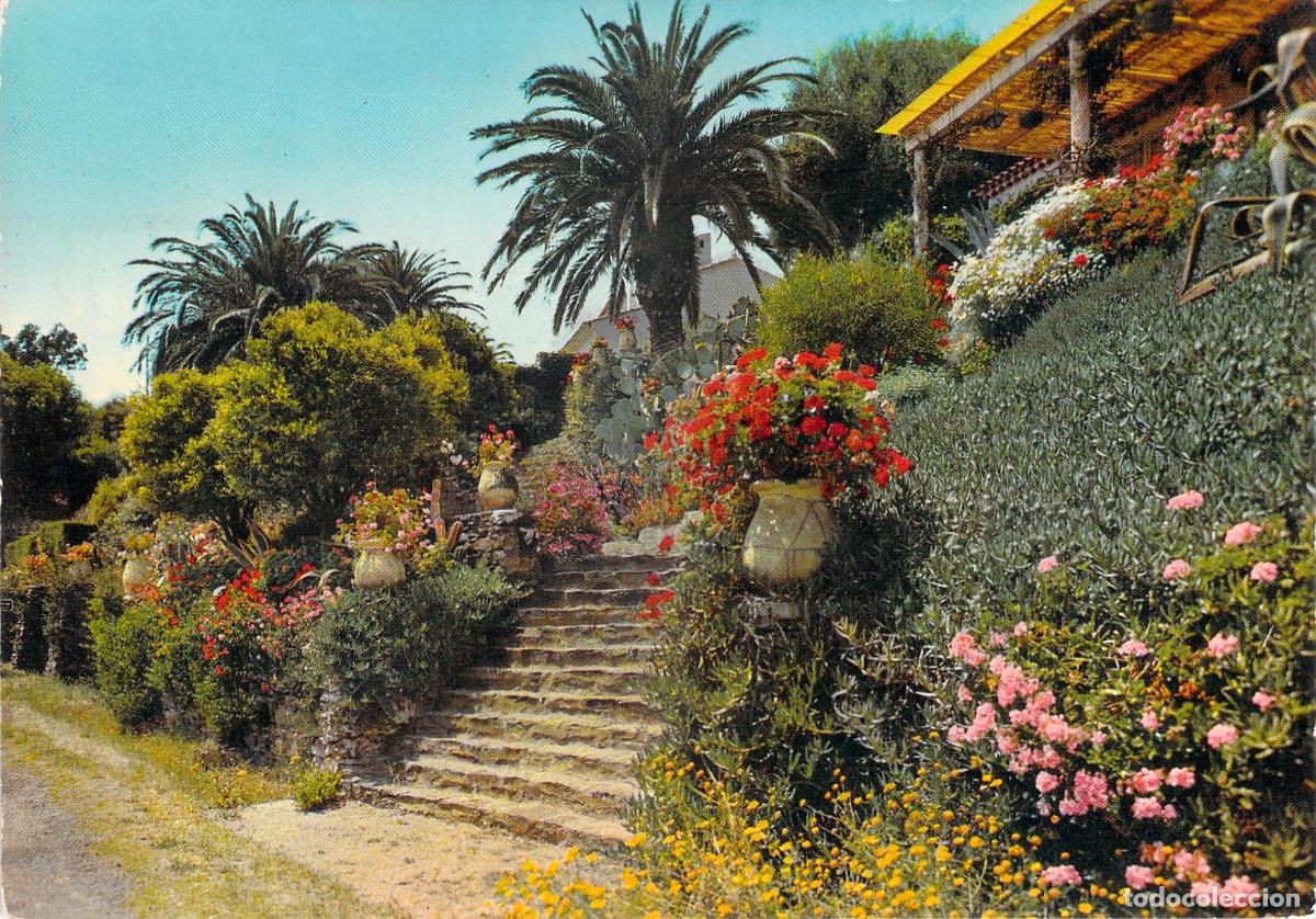 Postales: Postal de escaleras con flores en Rayol Costa Azul Francia