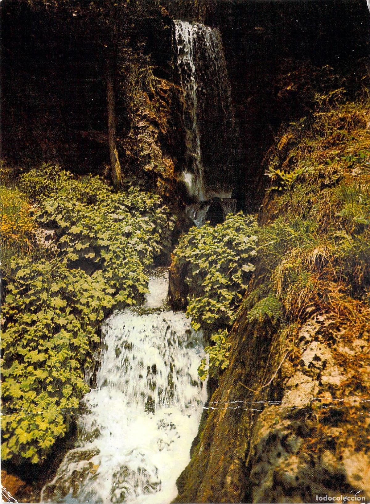 Postales: Postal de la Cascada de la Jaysinia en Samoens Francia