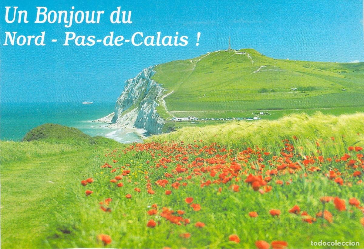 Postales: Postal de Cap Gris-Nez con Paisaje de Amapolas en Pas-de-Calais