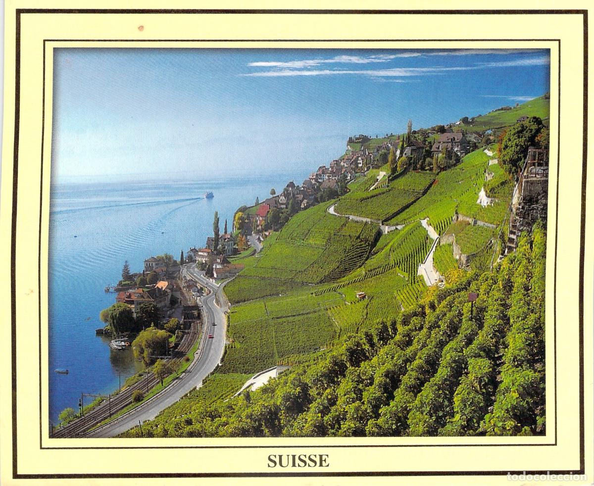 Postales: Postal de los vi&ntilde;edos de Lavaux en Suiza