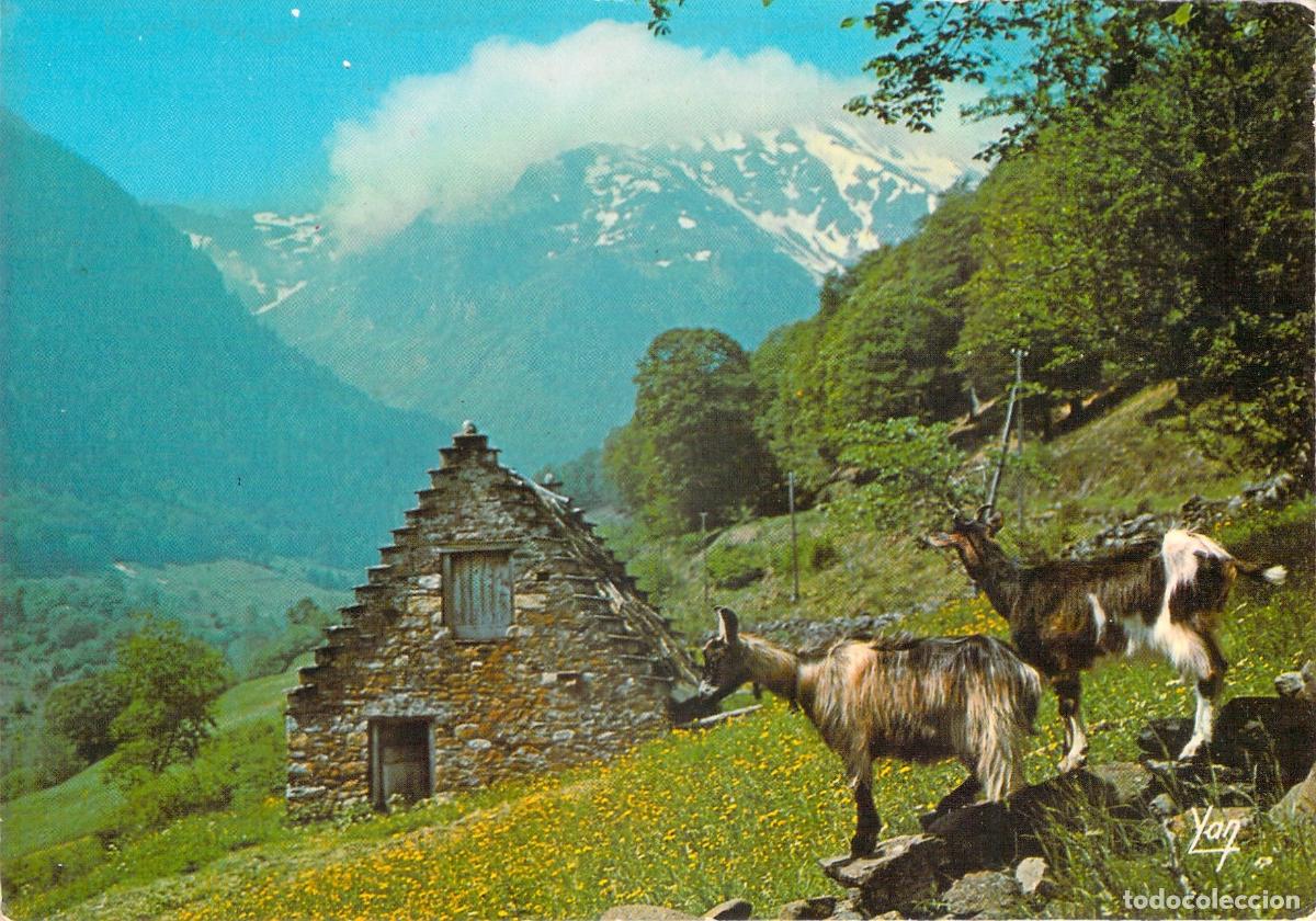 Cartoline: Postal de granero en las monta&ntilde;as de los Pirineos con cabras