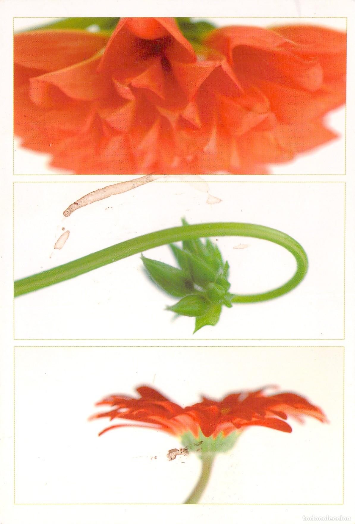 Cartoline: Postal con dise&ntilde;o floral de Yves Rocher