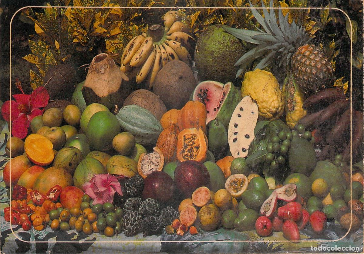 Postkarten: Postal de Frutas Tropicales de Martinica