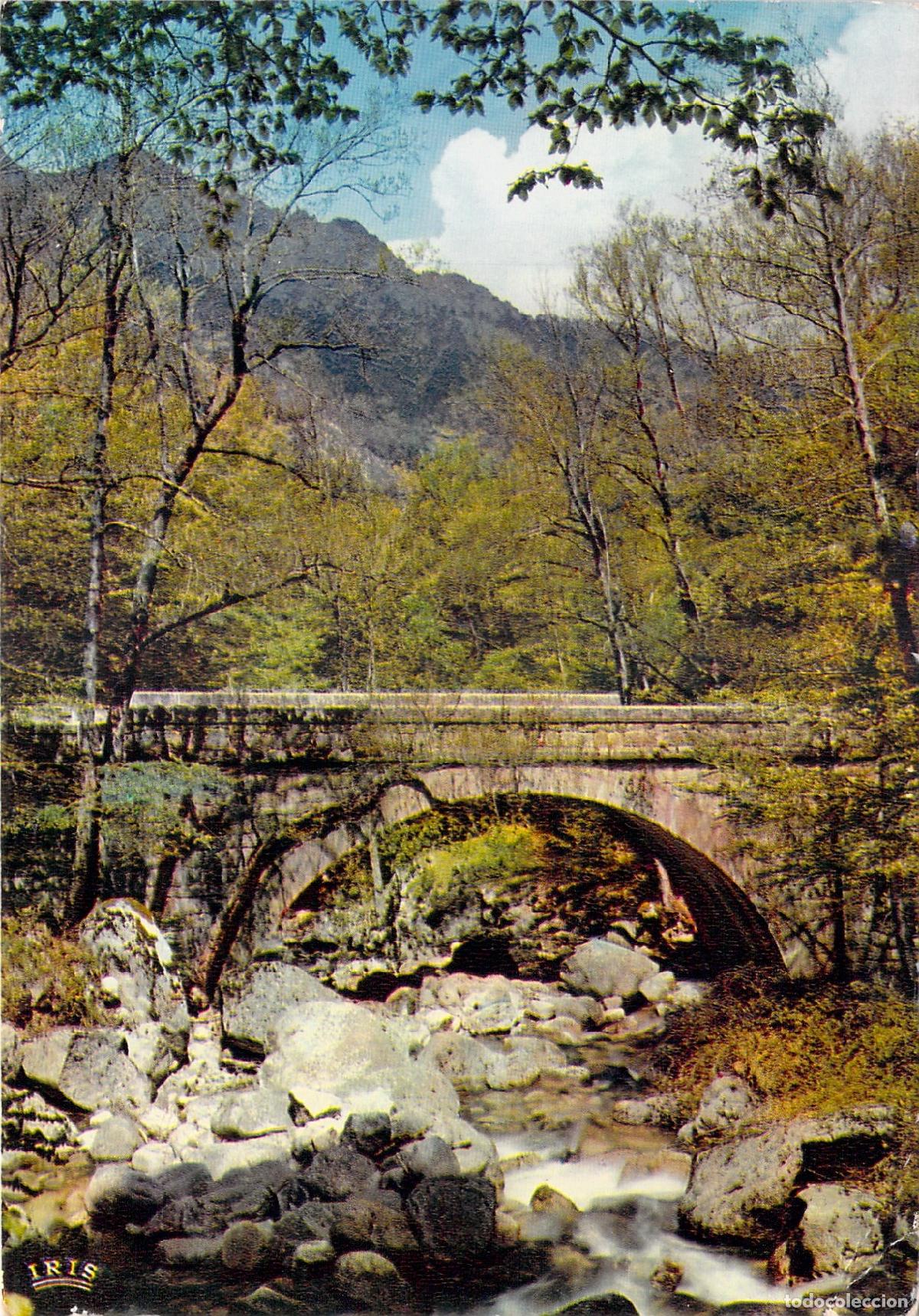 Cartes Postales: Postal de Vizzavona Bosque C&oacute;rcega Francia