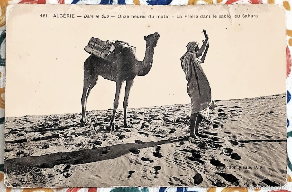 Postales: Postal antigua de Francia de 1910 &ndash; Alg&eacute;rie, Dans le Sud