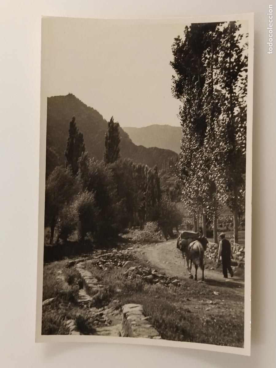 Postales: ANDORRA - SANT JULIA DE LORIA - FOTO CUYAS - POSTAL ANTIGUA (116.896)