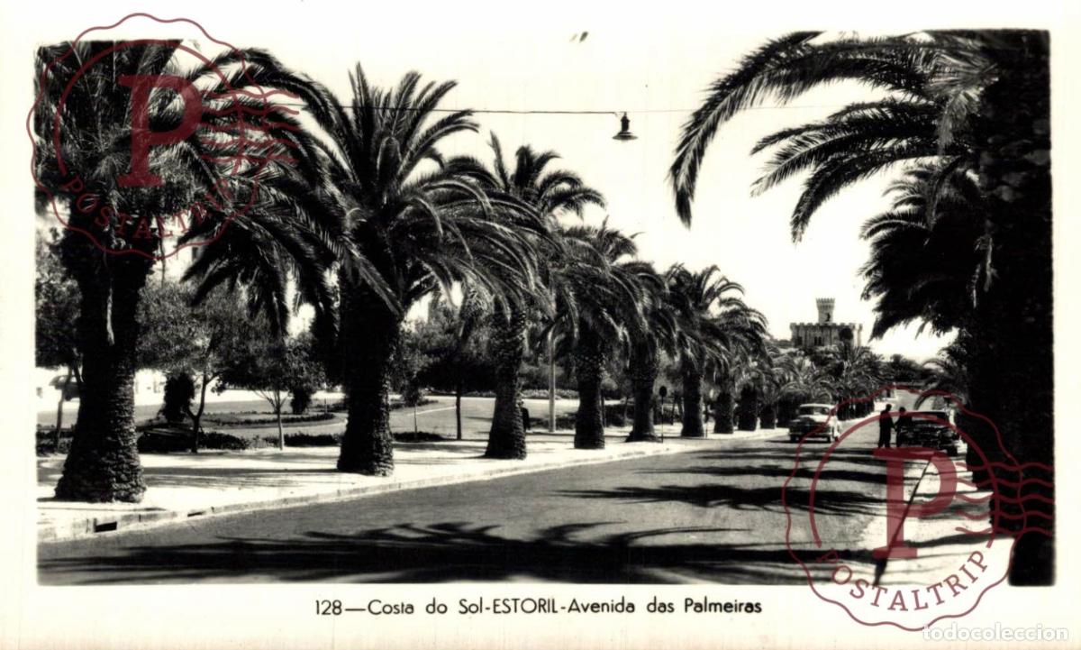 Postales: ESTORIL. Costa do Sol - Avenida das Palmeiras. PORTUGAL LE PORTUGAL