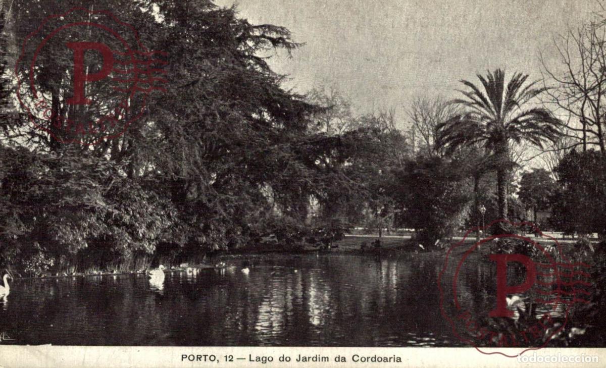 Postales: PORTO. Lago do Jardim da Cordoaria. PORTUGAL LE PORTUGAL