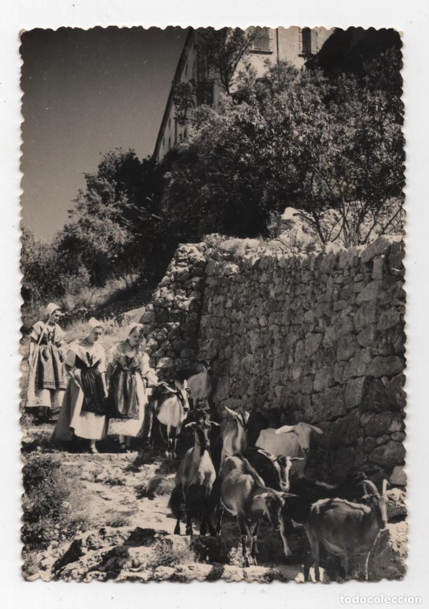 Postales: FRANCIA SAULT (VAUCLUSE) CURIOSA POSTAL FECHADA EN 1964 CONSERVA EL SELLO VER IMAGEN DEL REVERSO