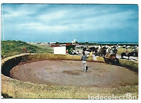 Postales: EQUITATION &rdquo; L&acute;ETRIER &rdquo;.- RIVA-BELLA - OUISTREHAM / FRANCIA