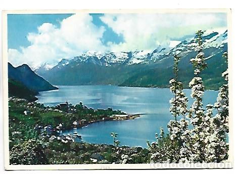 Postales: SORFJORDEN, HARDANGER, ULLENSVANG MOT FOLGEFONNEN.- NORGE - NORWAY