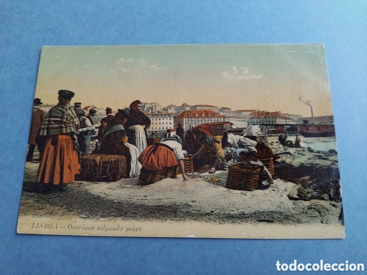 Postales: Postal Lisboa. Ovarinas salgando peixe