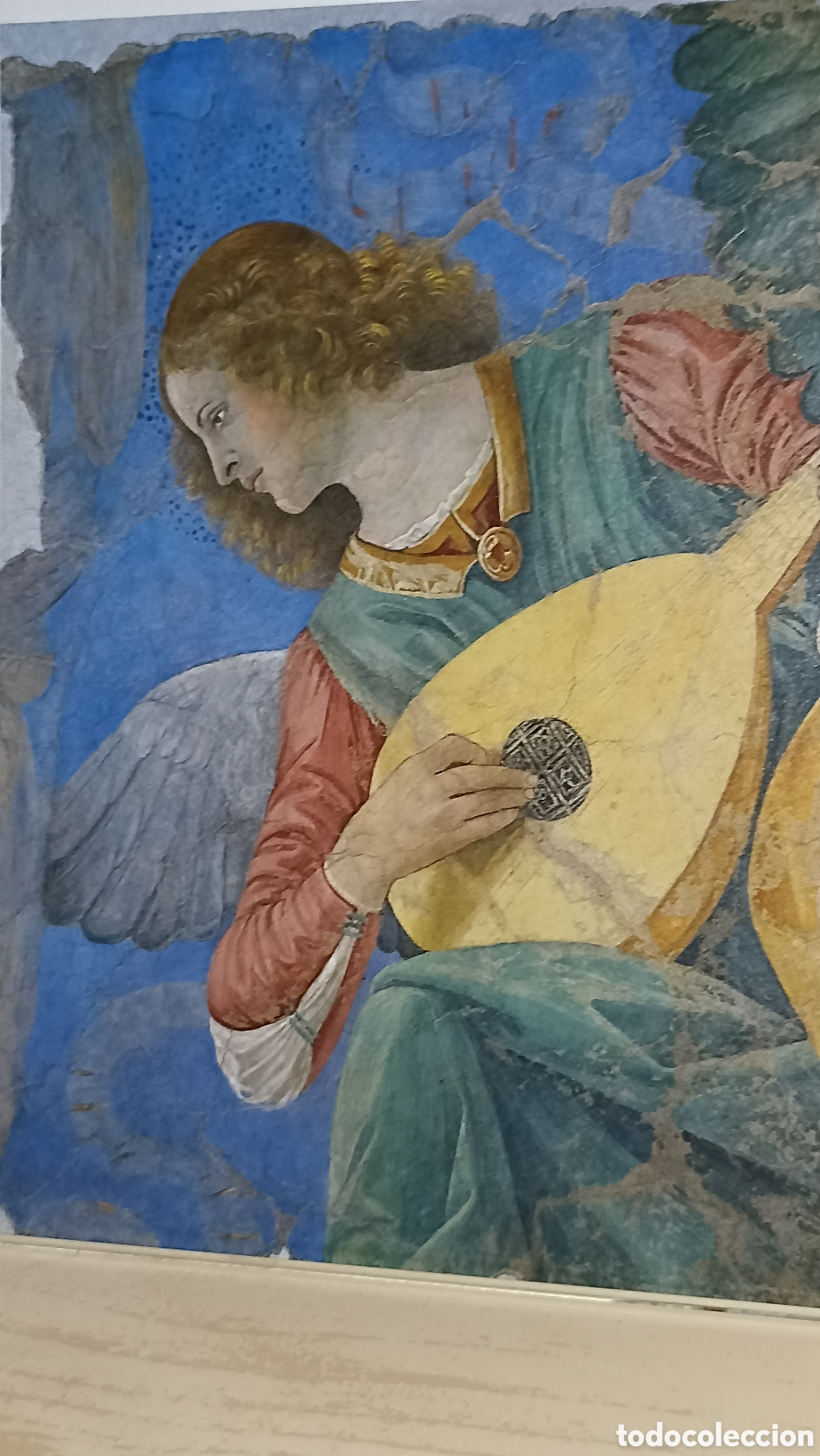 Postales: Mint museo de Vaticano pinacoteca meloso da forli Angelo con liuto