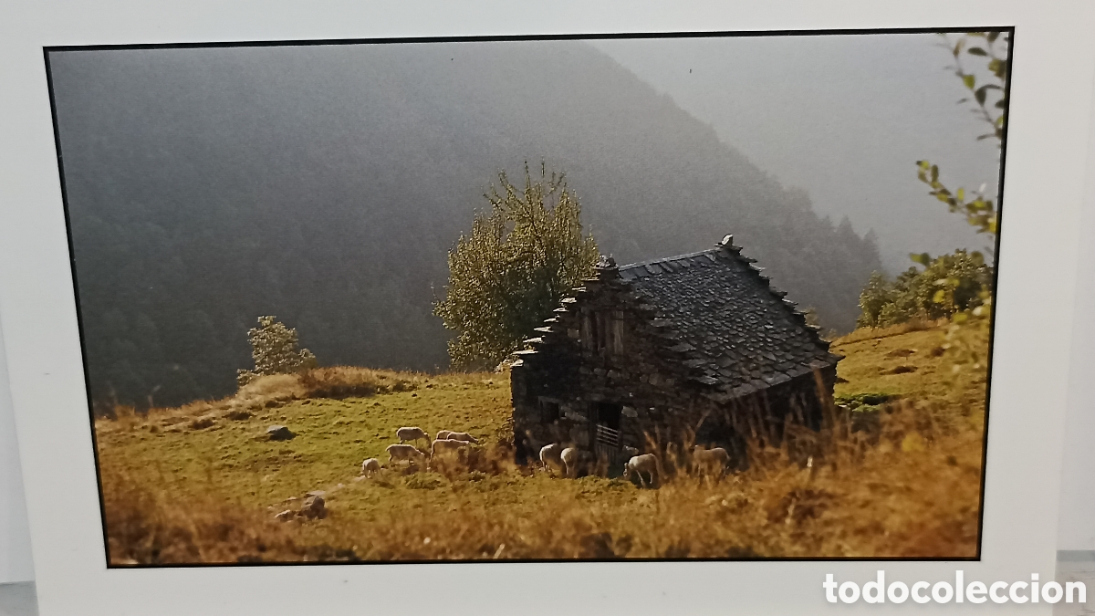 Postales: La verguer&iacute;a sur son tapiz d'or edici&oacute;n diagrama