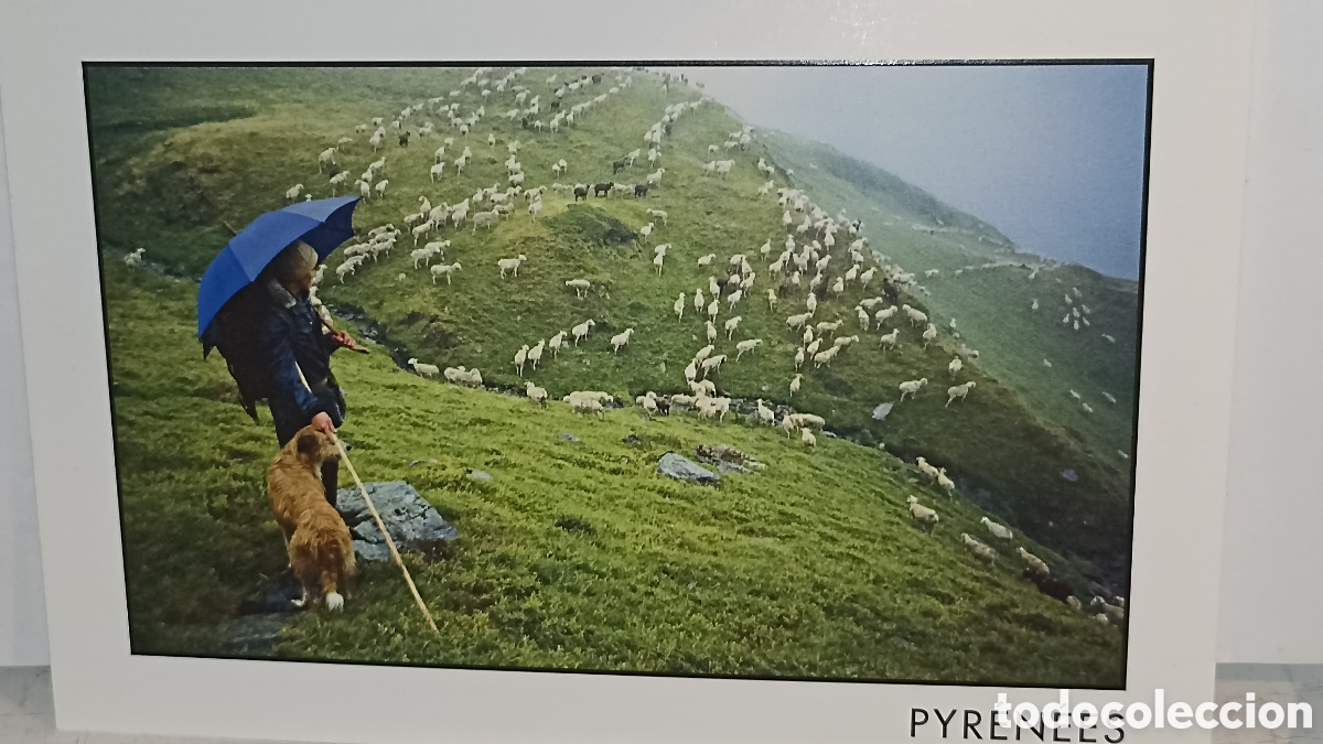 Postales: Mint Pirineos temps de pluie.. precioso postal franc&eacute;s