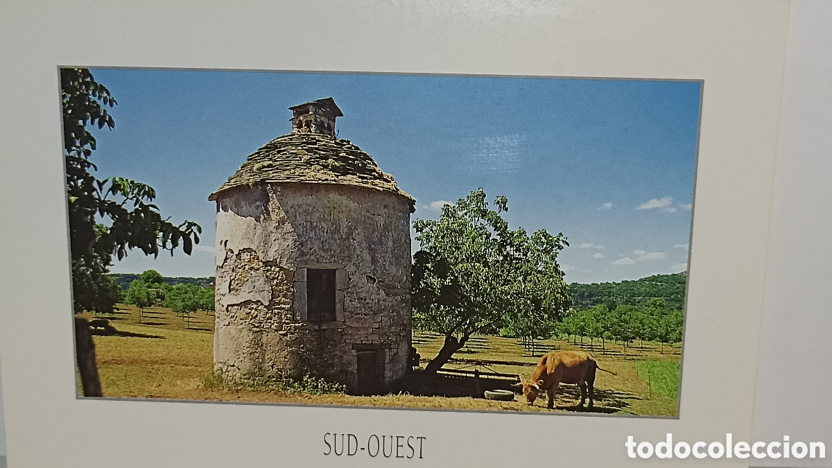 Postales: MINT Sud Ouest Piggeonier