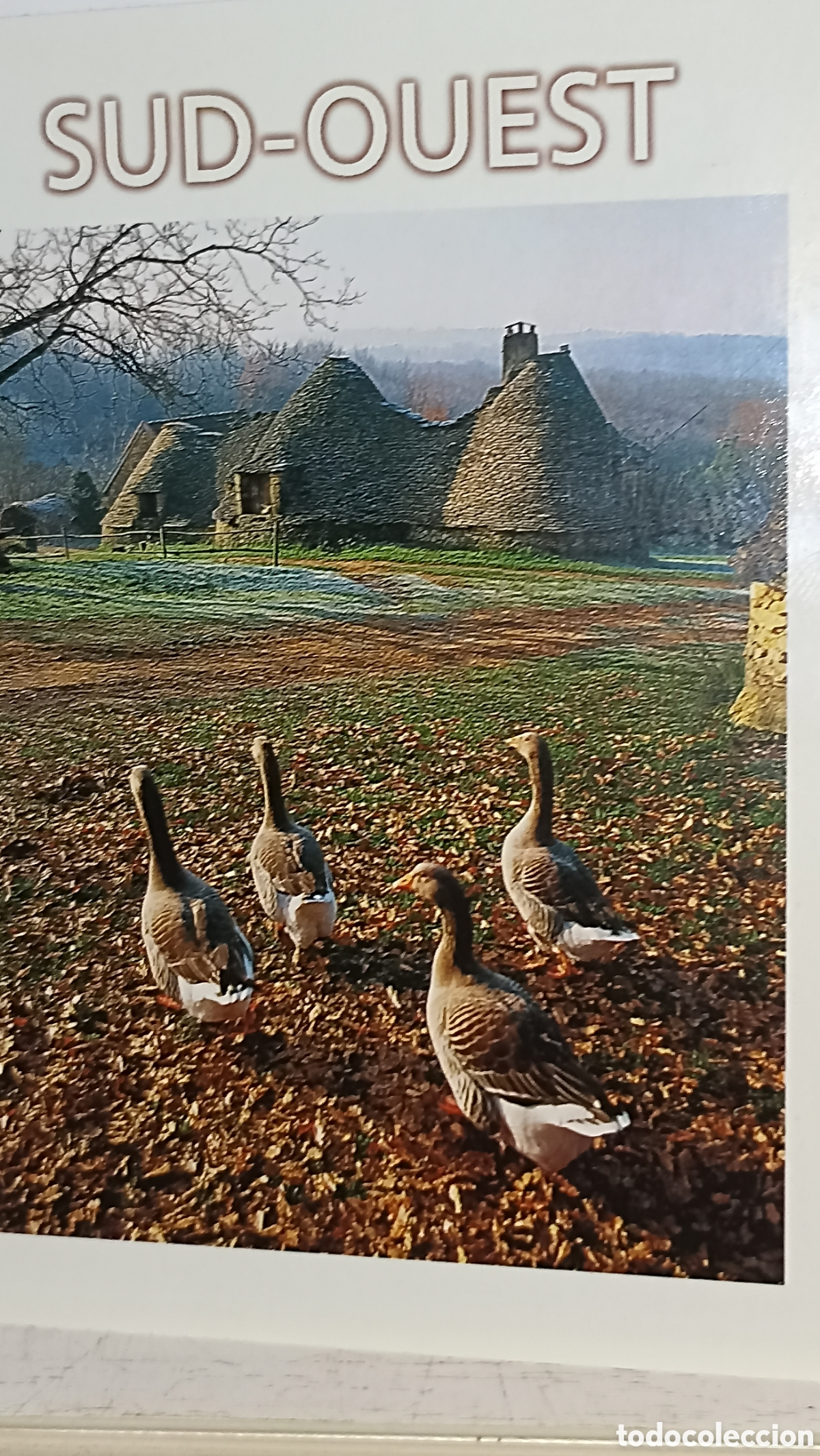 Postales: MINT Sud -Ouest . France